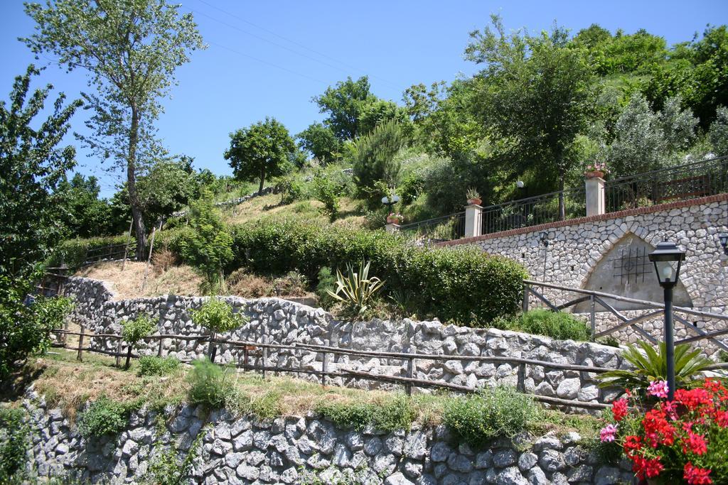 Agriturismo La Grotta Corbara  エクステリア 写真